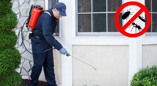 Aziziye Dezenfeksiyon böcek ilaçlama ve haşere kontrolü — ilaclama-tr.com